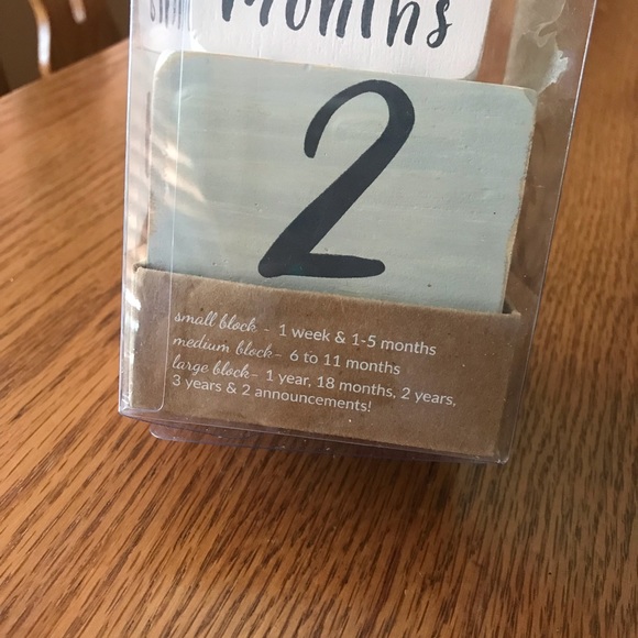 Mud Pie Milestone Announcement Blocks - Picture 3 of 5